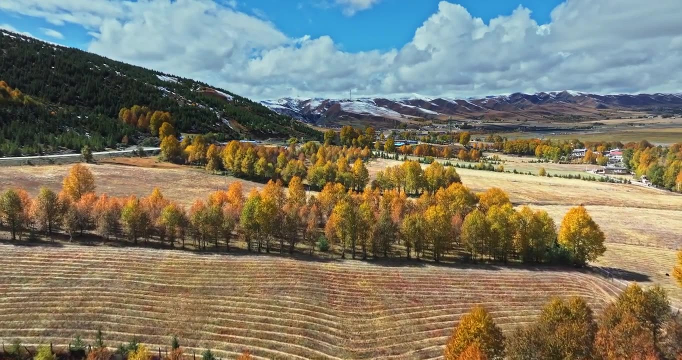 秋季 川西 雪山 高山 草原 牧场 村庄 建筑 蓝天 白云视频素材