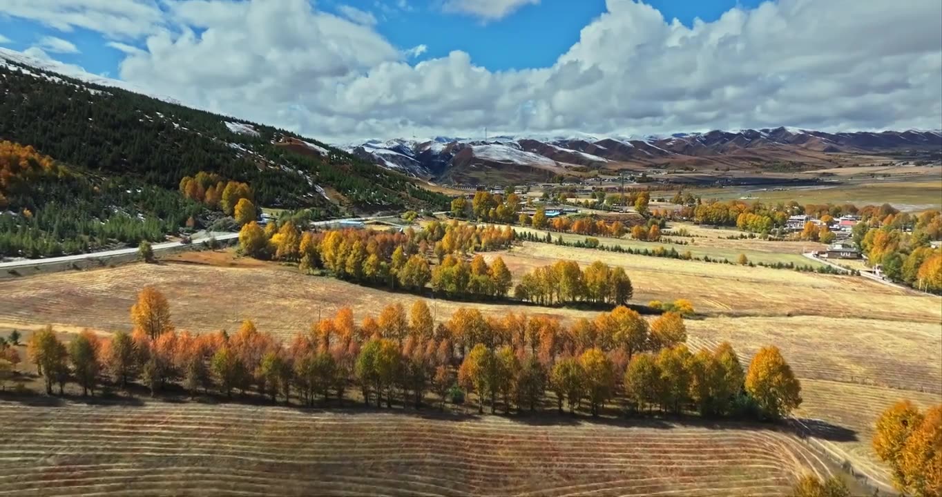 秋季 川西 雪山 高山 草原 牧场 村庄 建筑 蓝天 白云视频素材