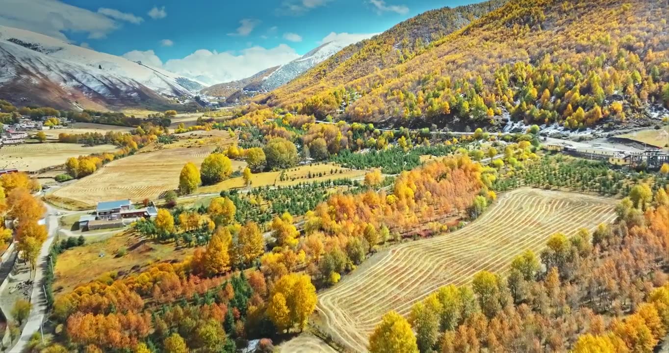 秋季 川西 雪山 高山 草原 牧场 村庄 建筑 蓝天 白云视频素材