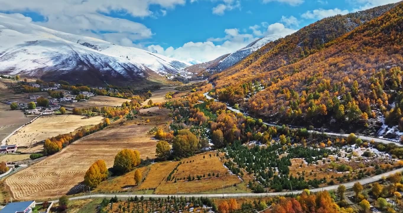 秋季 川西 雪山 高山 草原 牧场 村庄 建筑 蓝天 白云视频素材