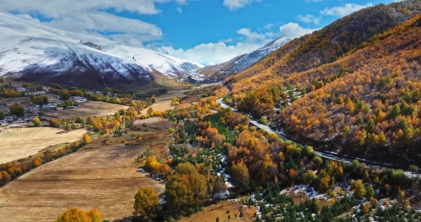 秋季 川西 雪山 高山 草原 牧场 村庄 建筑 蓝天 白云视频素材