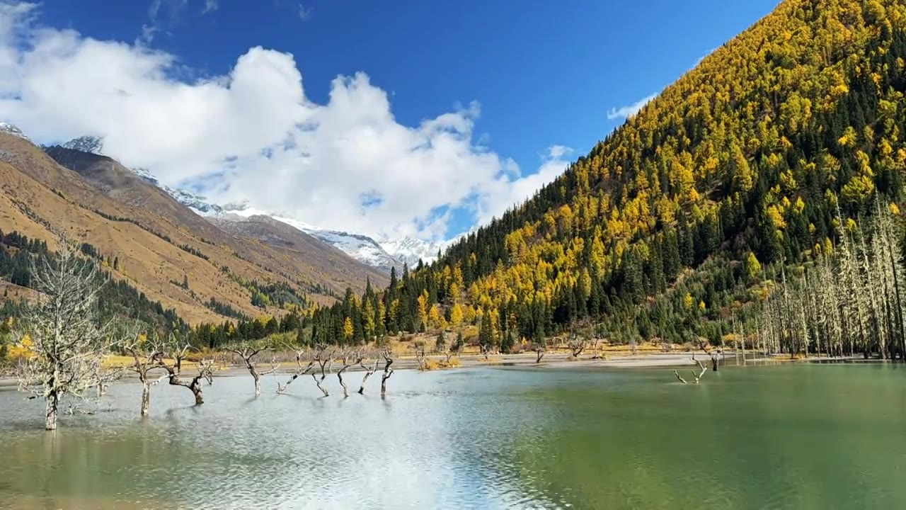 秋天 川西 高原 雪山 四姑娘山 森林 湖泊 风景 延时摄影视频下载