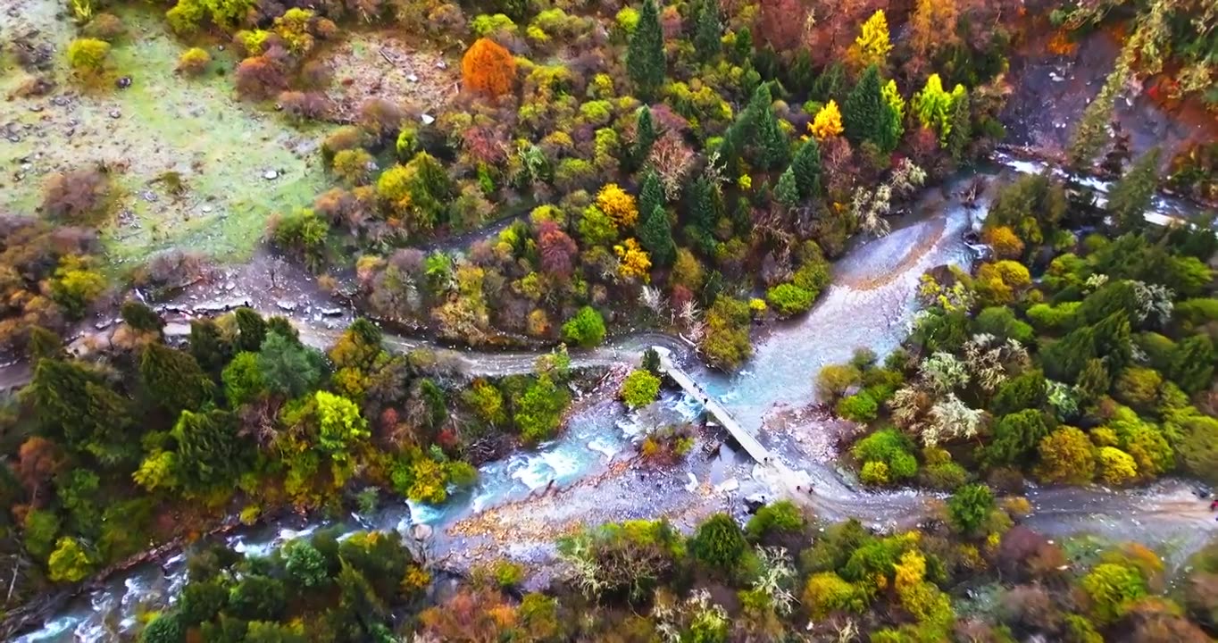 秋季 川西 四姑娘山 长坪沟  风景视频下载