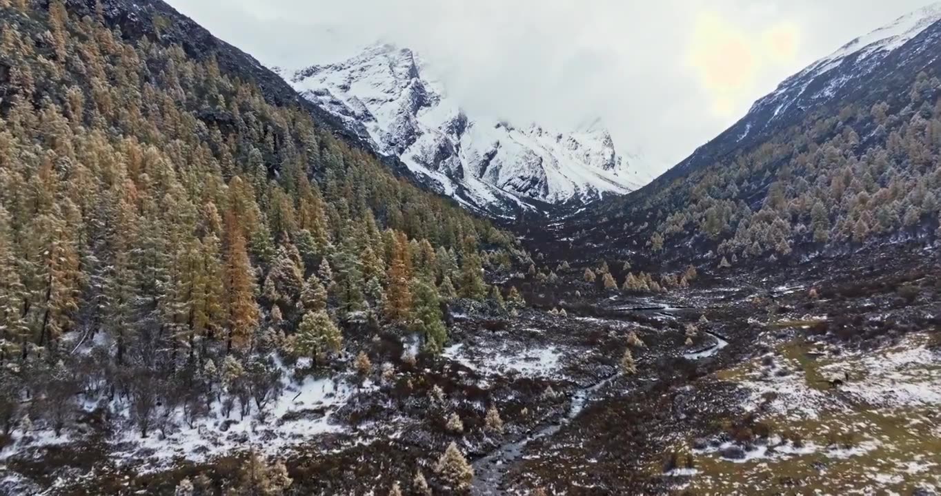 秋季 川西 高原 雪山   湖泊  海子 溪流  森林   风景视频下载