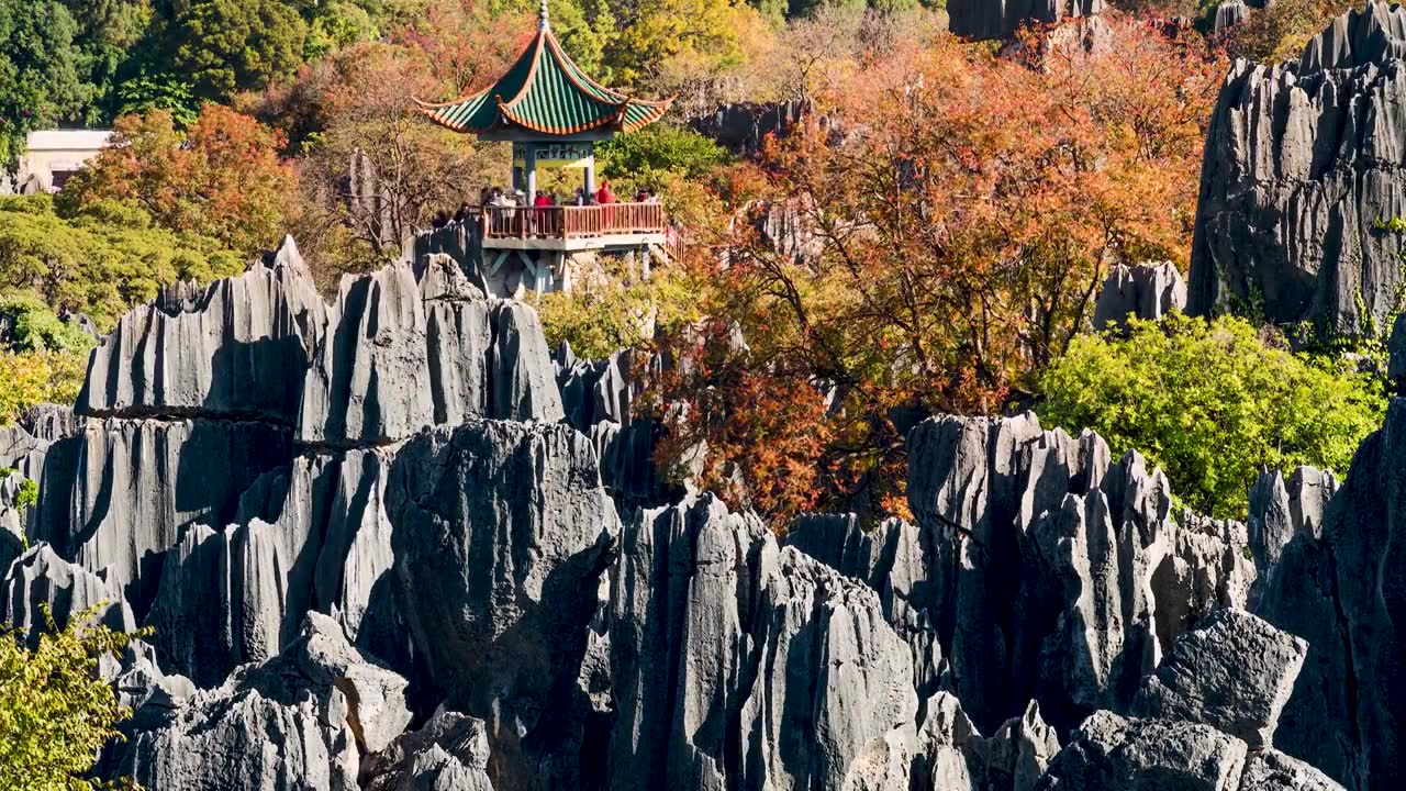 秋色   秋景  石林秋天不一样的美视频素材