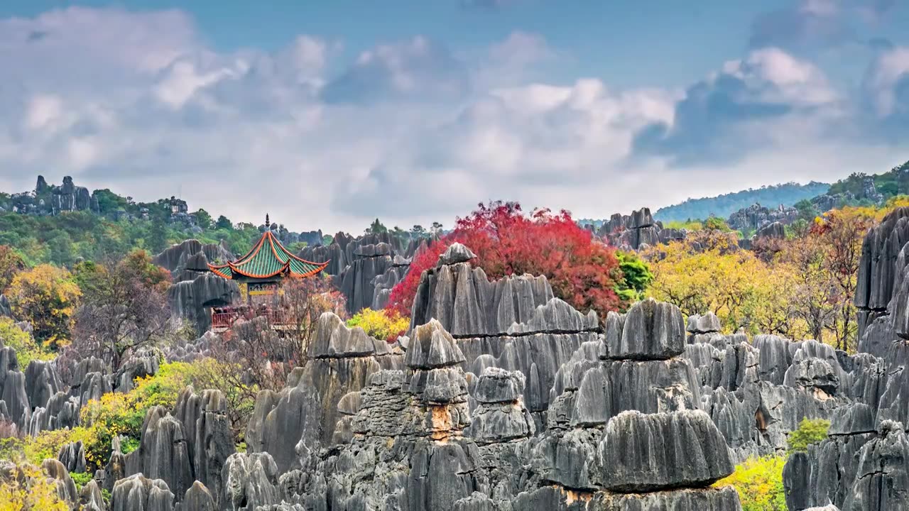 秋色   秋景  石林秋天不一样的美视频素材