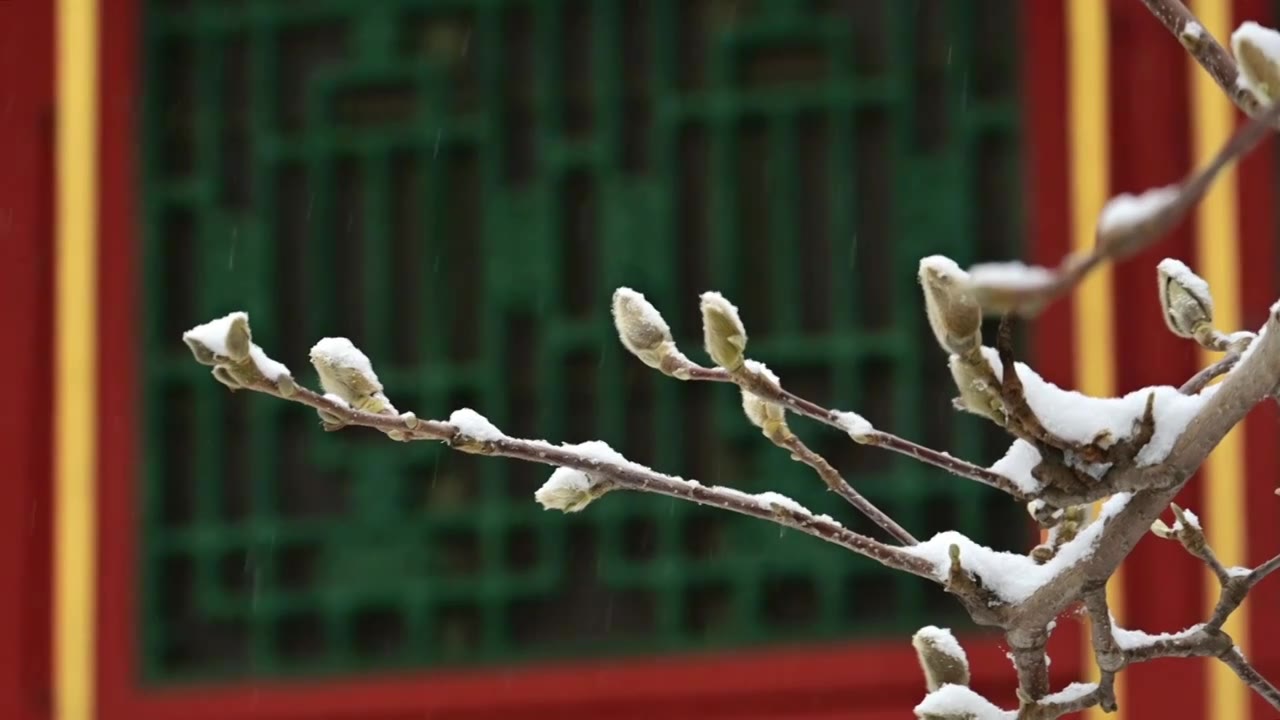 雪花纷飞的大雪中的中式建筑窗格视频素材