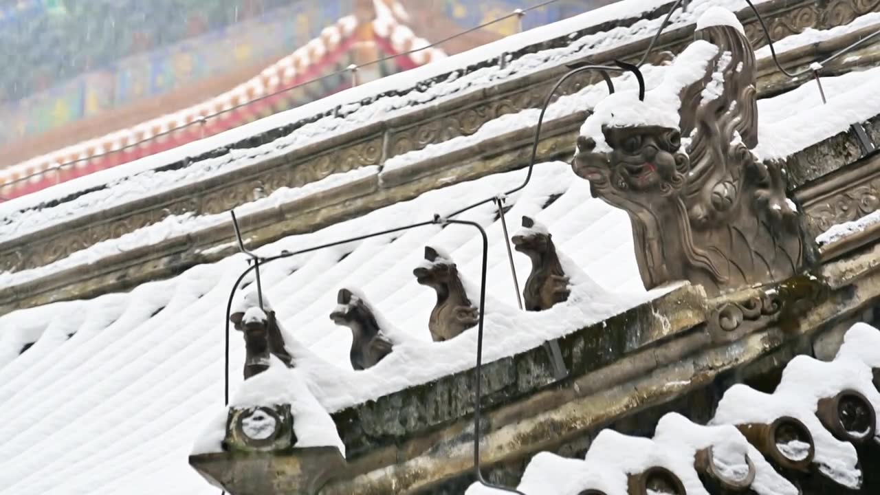 北京冬季大雪纷飞的故宫颐和园中式建筑视频素材