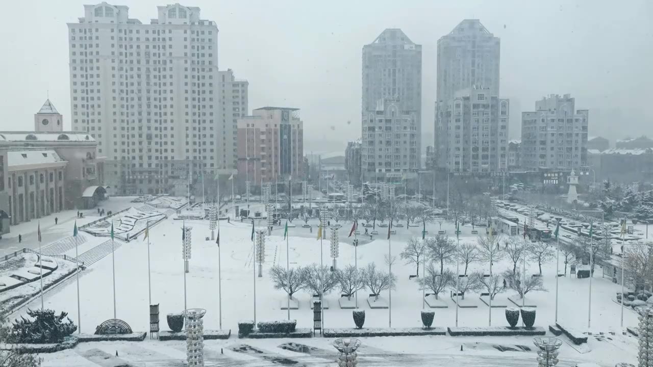 中国辽宁大连金普新区火车站大雪视频素材