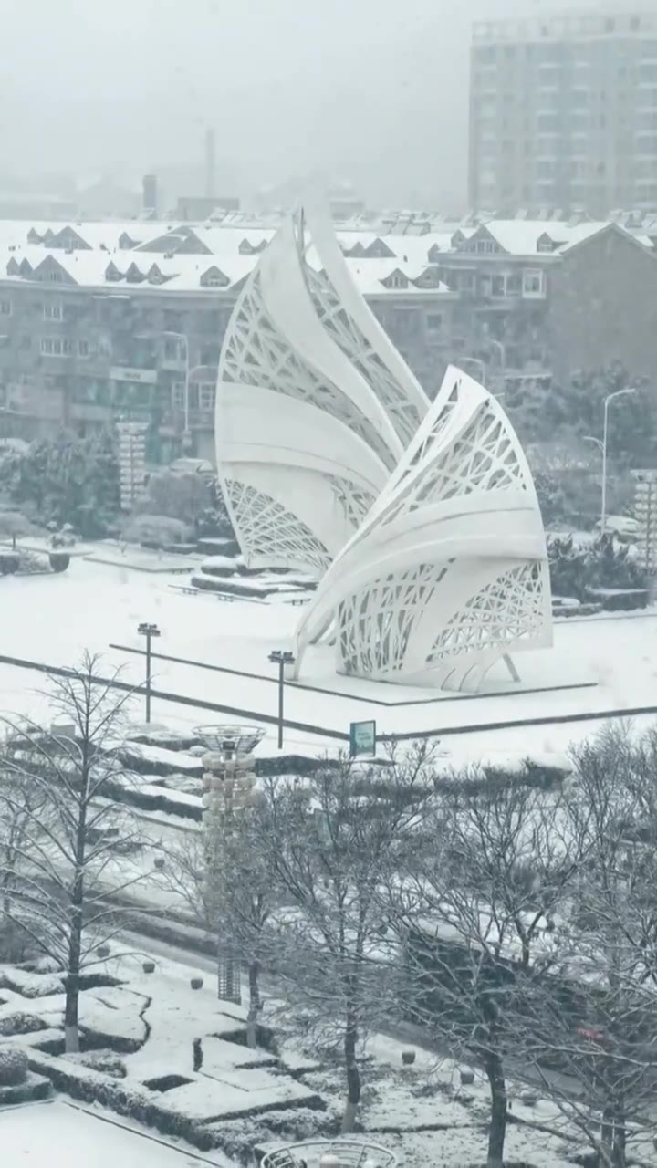 中国辽宁大连金普新区火车站大雪视频素材