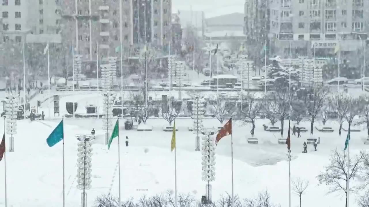 中国辽宁大连金普新区火车站大雪视频素材