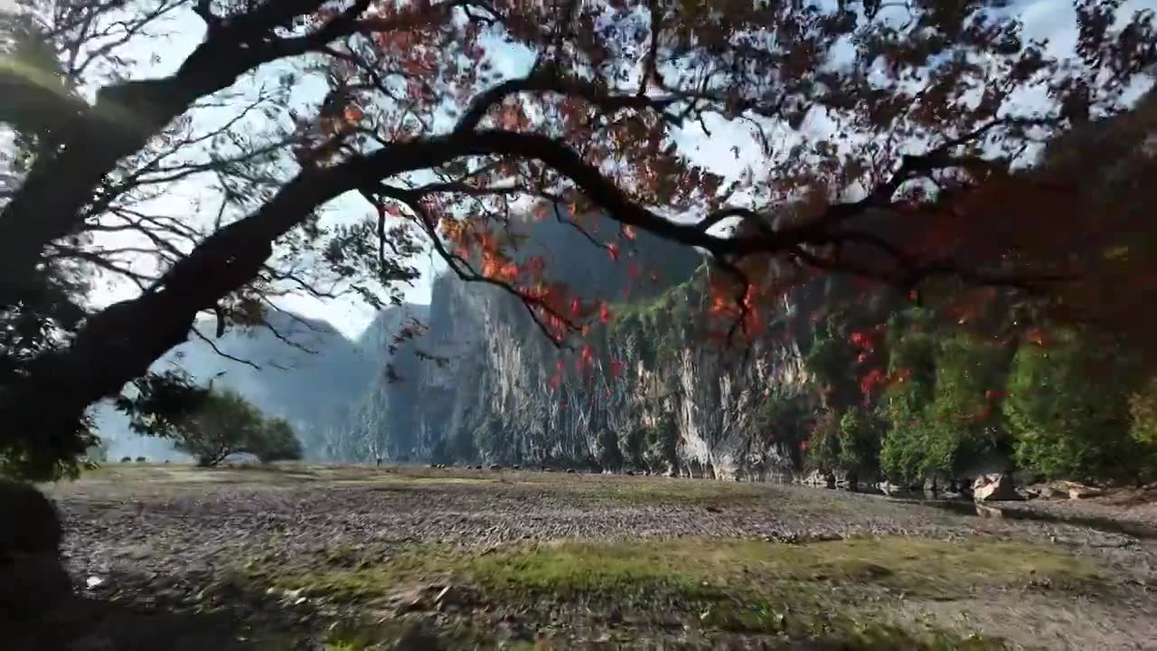 冬季阳光下桂林漓江河滩上红色的乌桕树和牛群视频素材