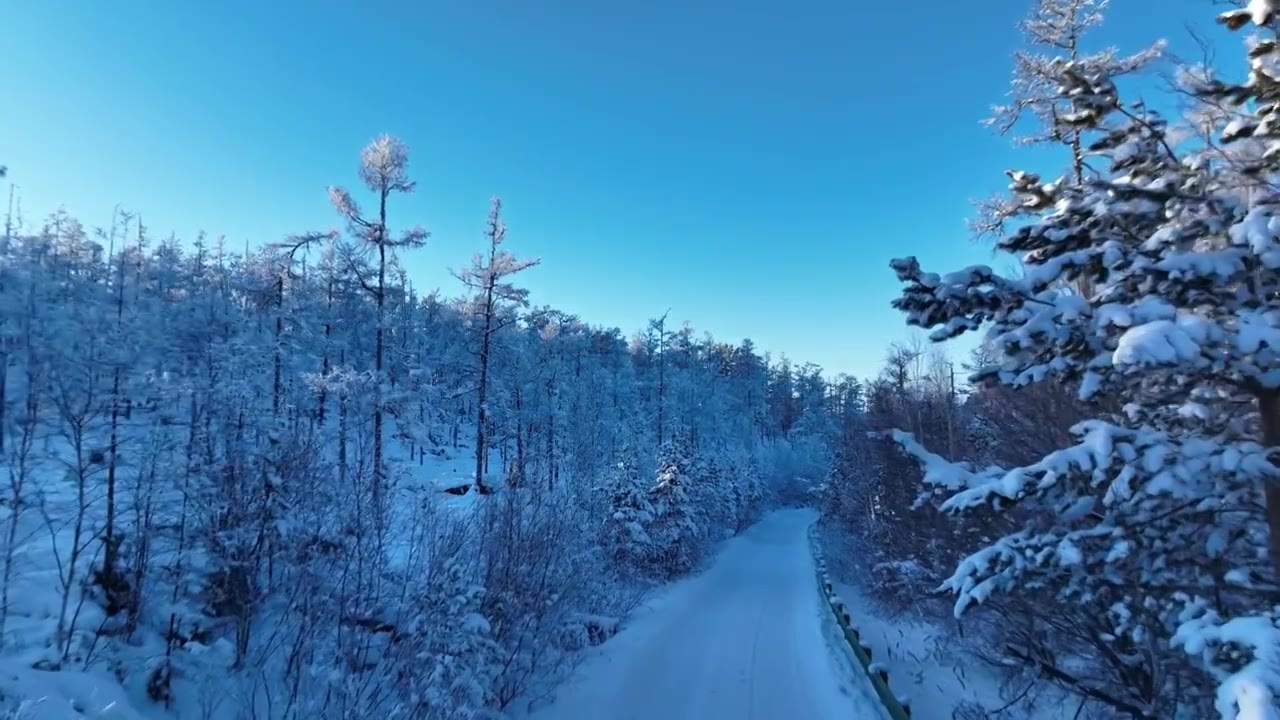 大兴安岭林海雪原和雪路视频素材