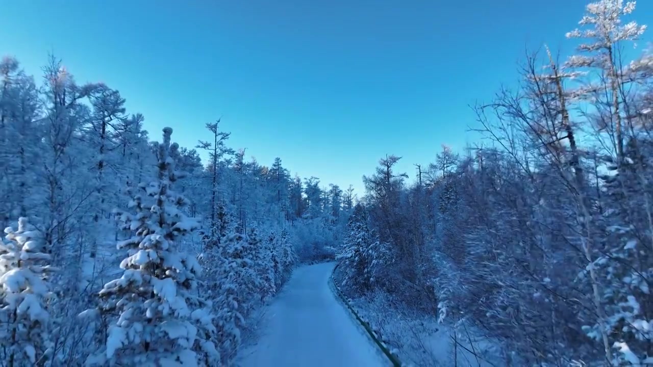 大兴安岭林海雪原和雪路视频素材