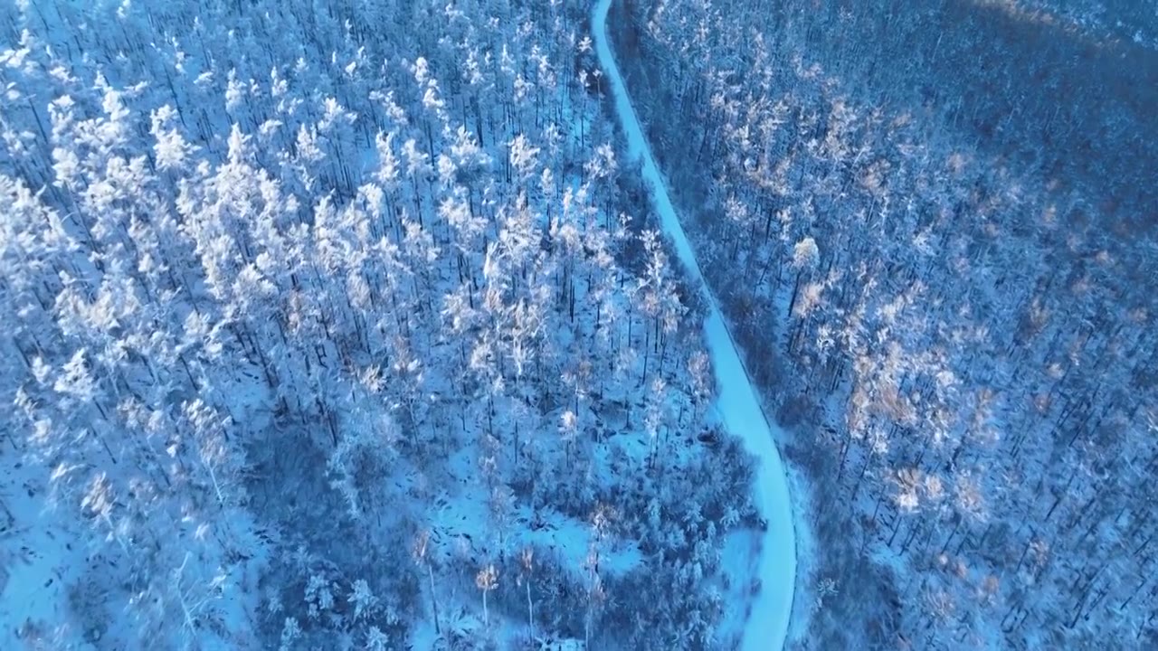 大兴安岭林海雪原和雪路视频素材