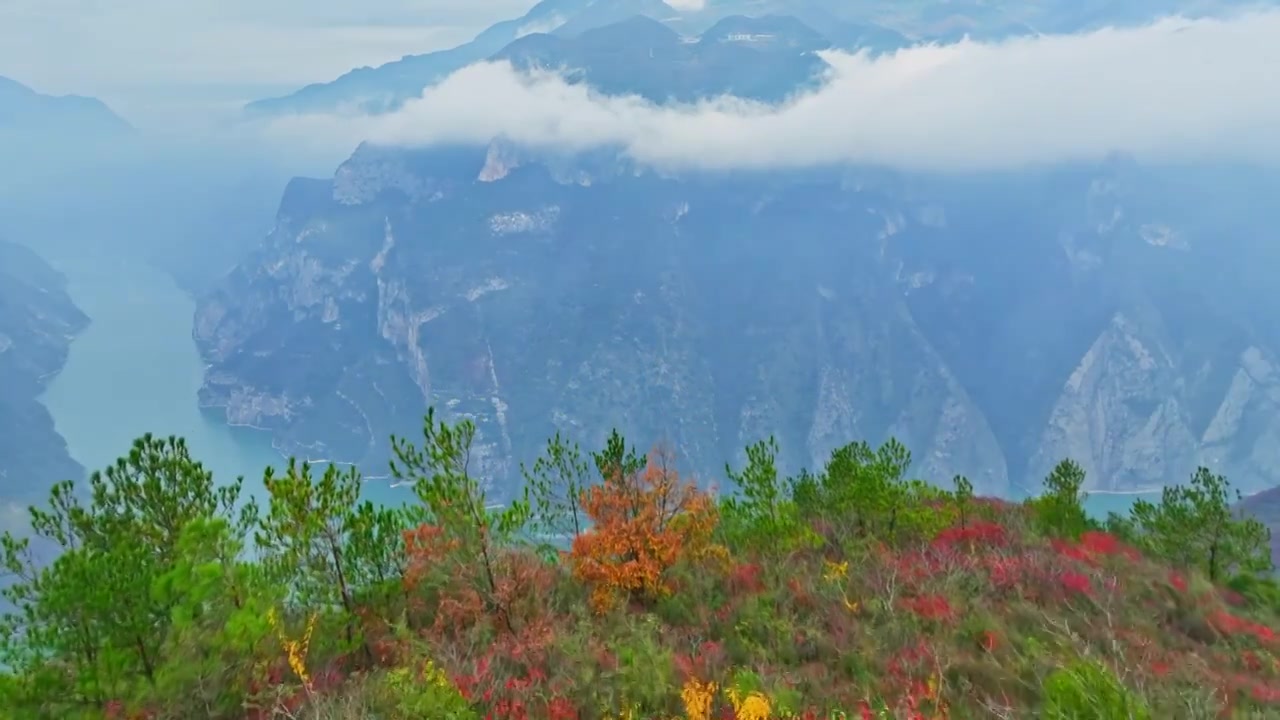 三峡红叶视频素材