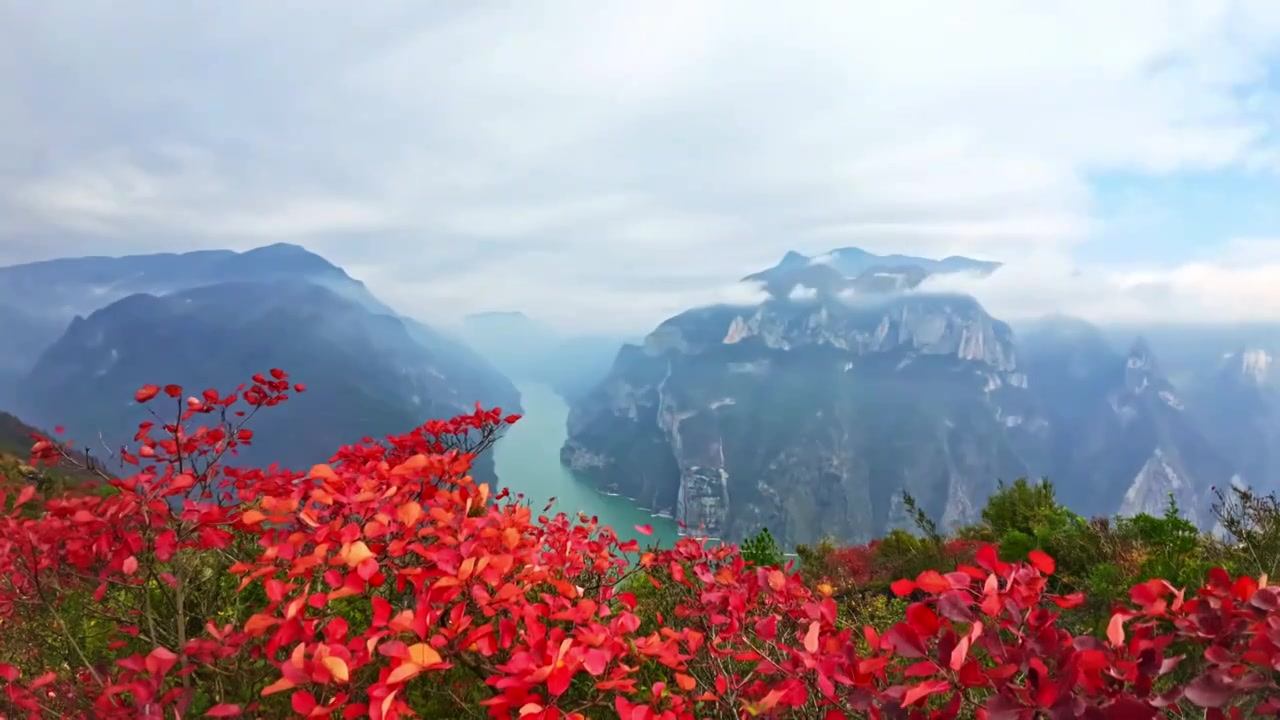 三峡红叶视频素材