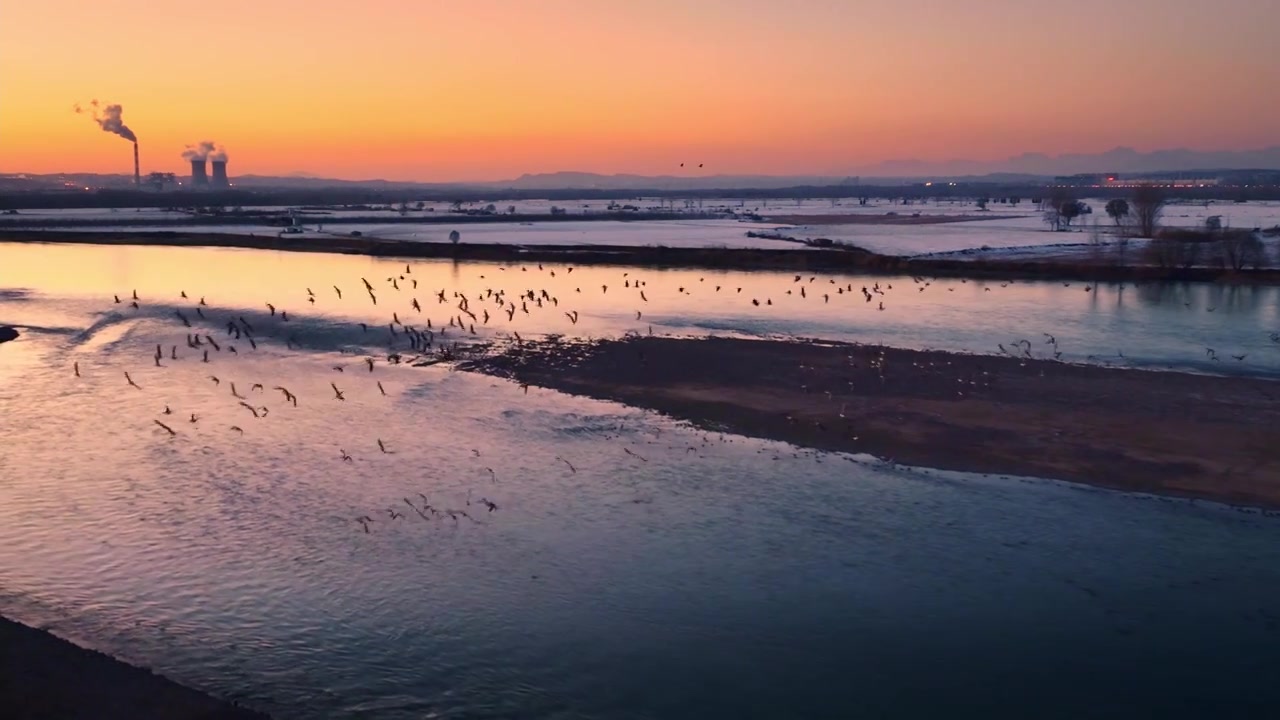 雪后黄河飞鸟河流雪景视频下载