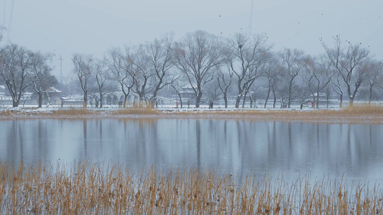 升格拍摄北京颐和园冬季雪景视频素材