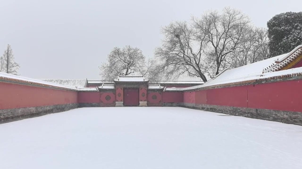 大雪纷飞故宫慈宁宫花园南天门实时视频视频素材