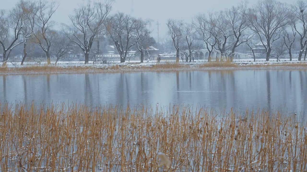 升格拍摄北京颐和园冬季雪景视频素材