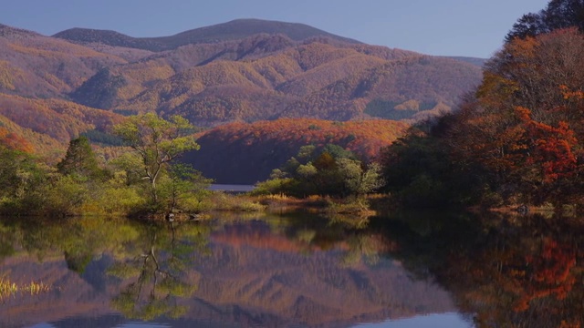 秋天的Bishamon-Numa池塘视频素材