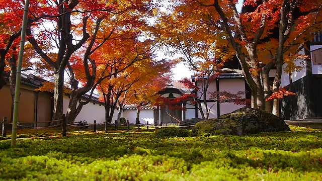 日本京都的二条城视频素材