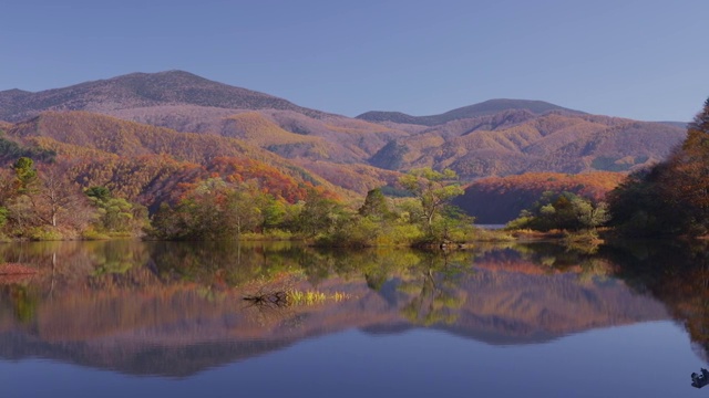 秋天的秋本湖视频素材