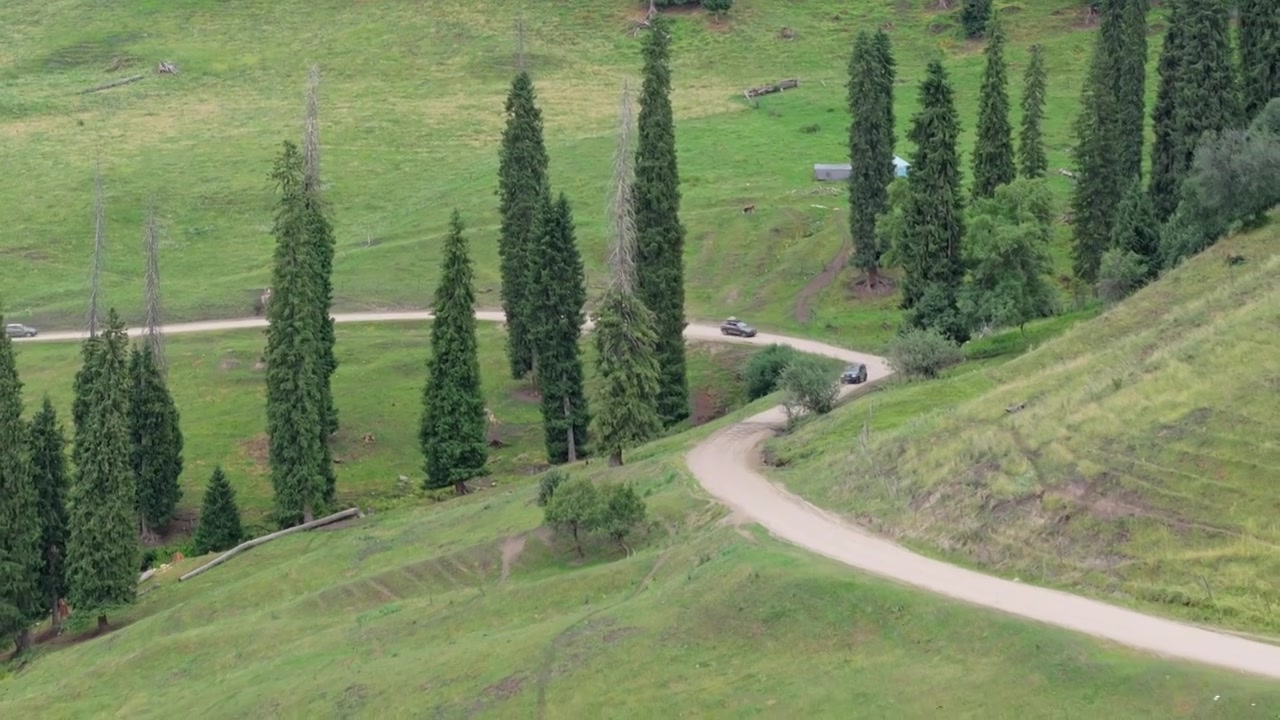 航拍汽车行驶在新疆恰西森林公园的山路上视频素材