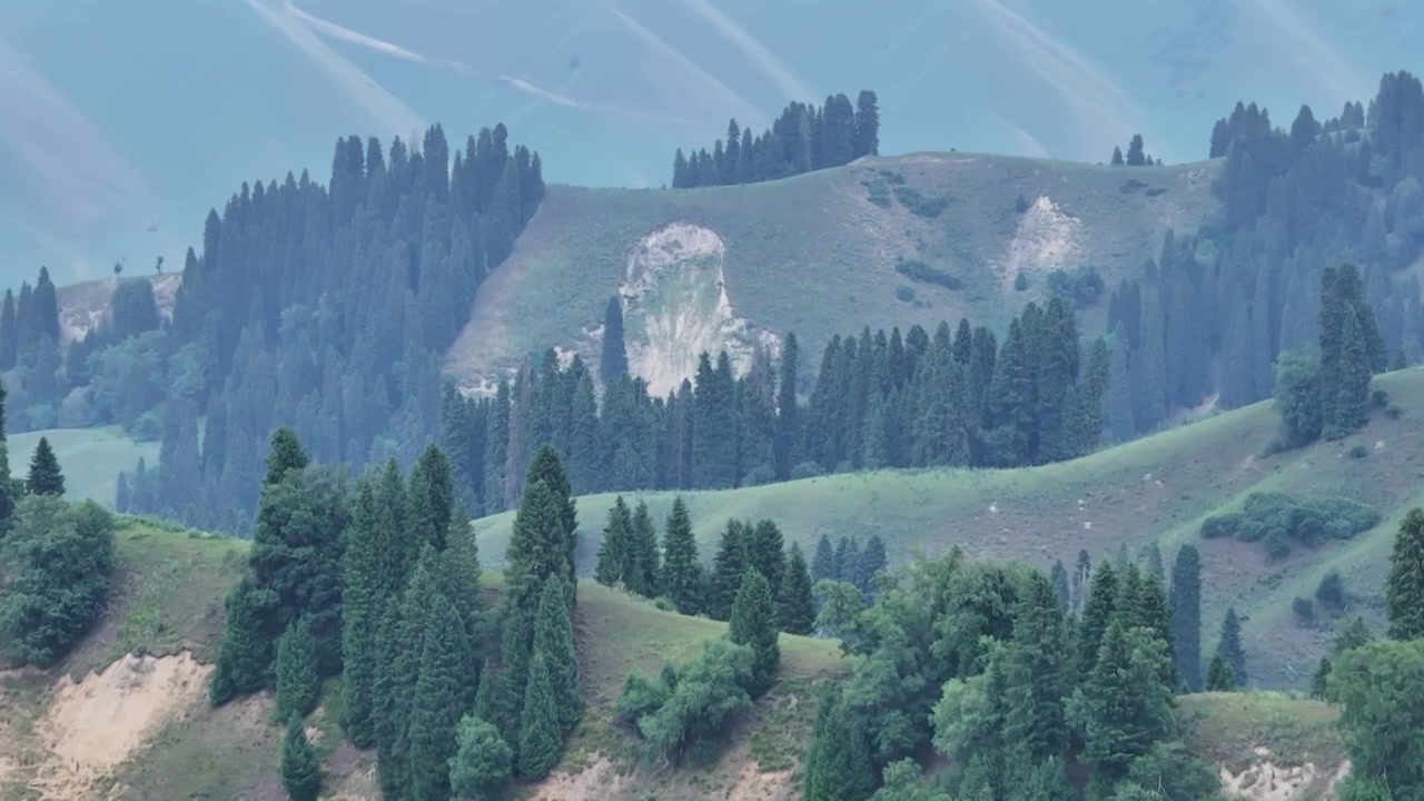 航拍夏天的新疆恰西森林公园风景视频素材