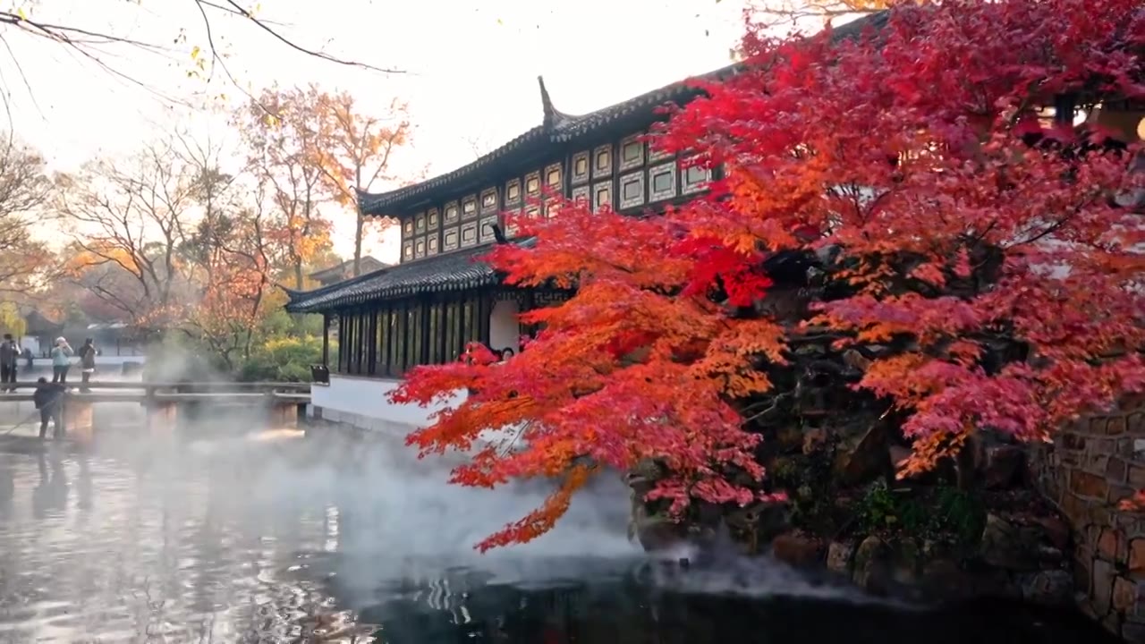 苏州拙政园秋天光影红枫视频素材