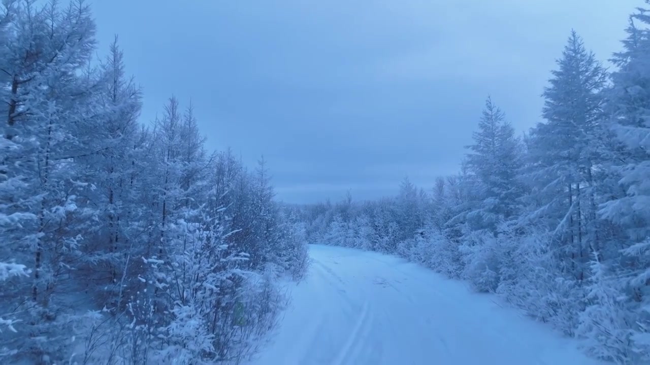 航拍林海雪原雪林和山路视频素材