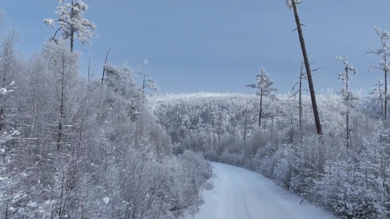 航拍林海雪原雪林和山路视频素材