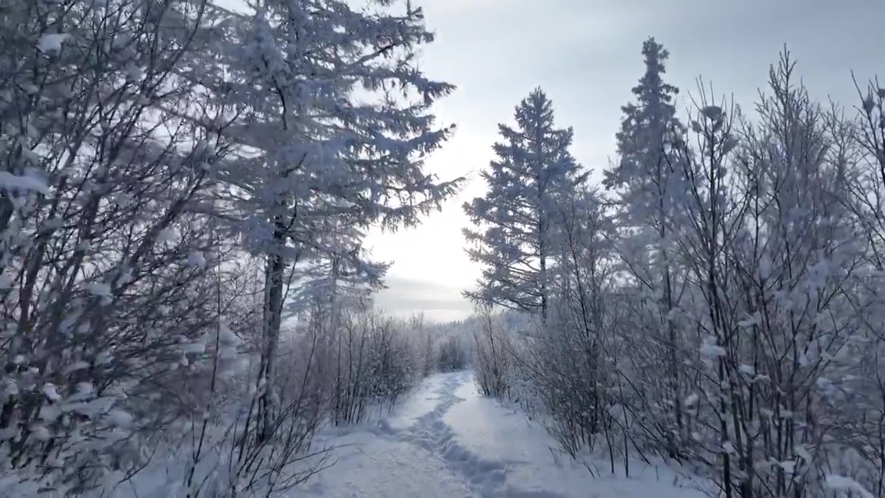 航拍林海雪原雪林和山路视频素材