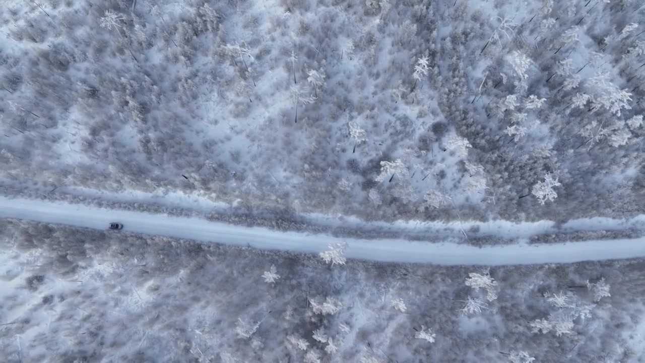 航拍林海雪原雪林和山路视频素材