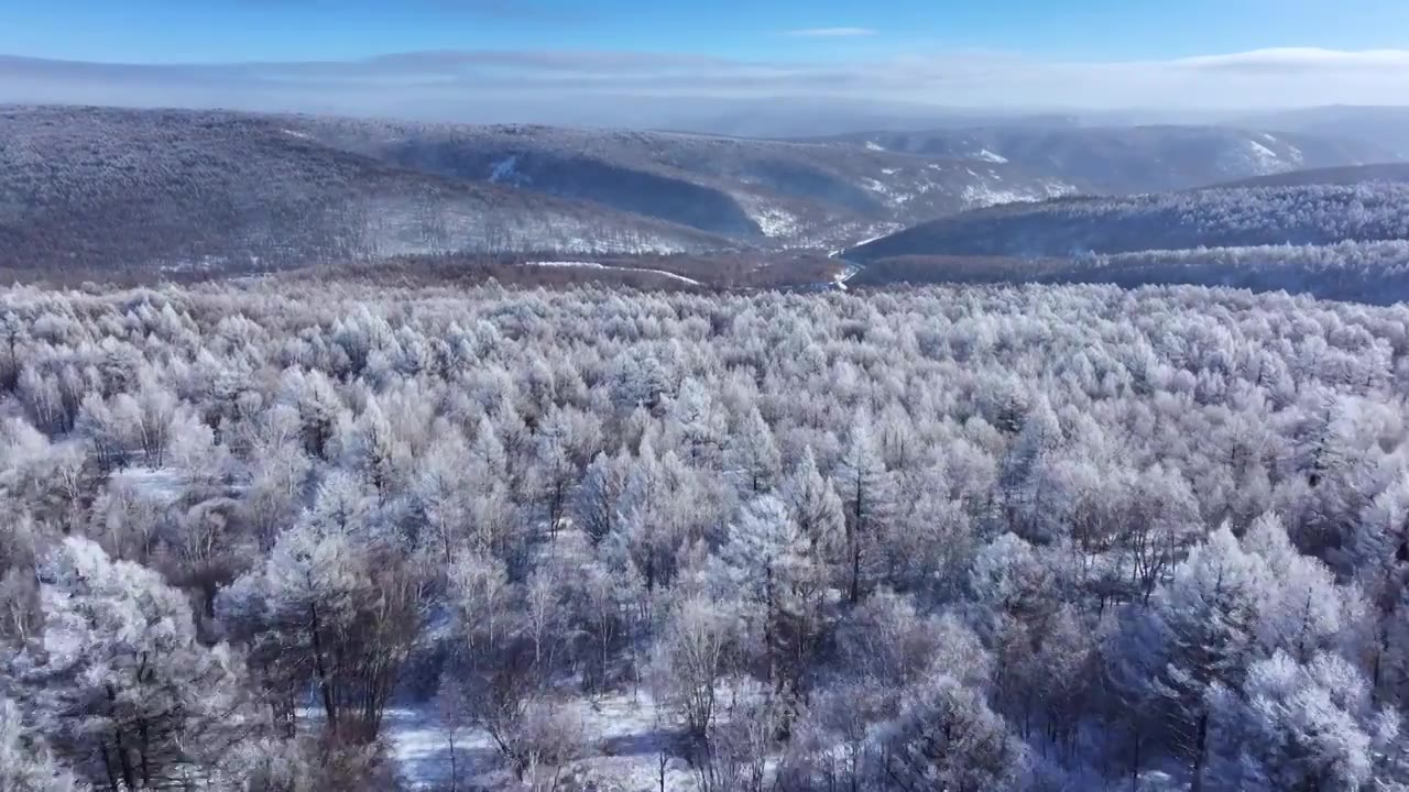 航拍冬季森林雾凇雪景动物视频下载