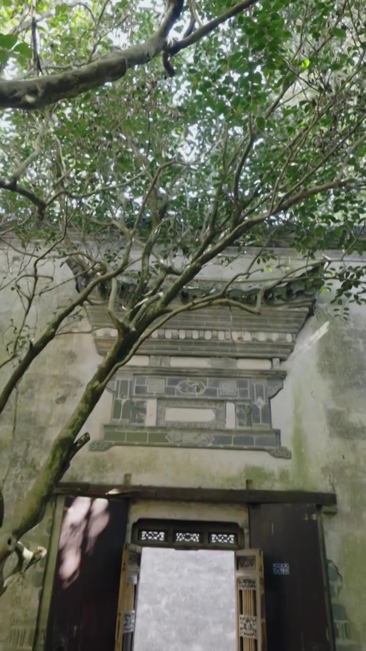 安徽黄山西递宏村徽派建筑徽州徽文化江南建筑雕梁画栋牌坊马头墙小青瓦高墙深院树荫光影光斑门头木门庭院视频素材