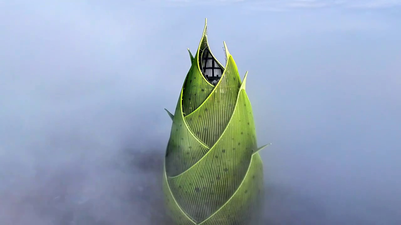 中国 湖南 桃花江竹海视频素材