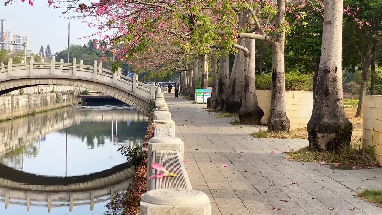 广东湛江市遂溪城市风光建筑风景视频素材