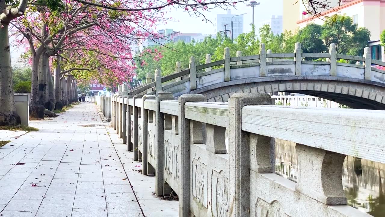 广东湛江市遂溪城市风光建筑风景视频素材