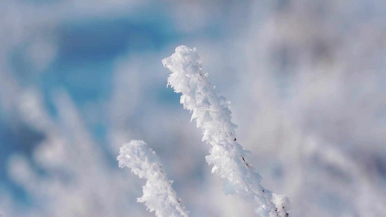 冬天雪地雾凇唯美空镜视频素材