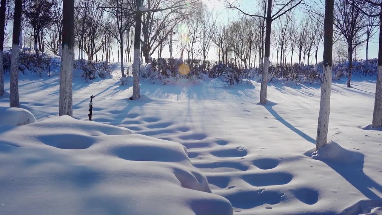 冬天雪地覆盖的公园步道视频素材