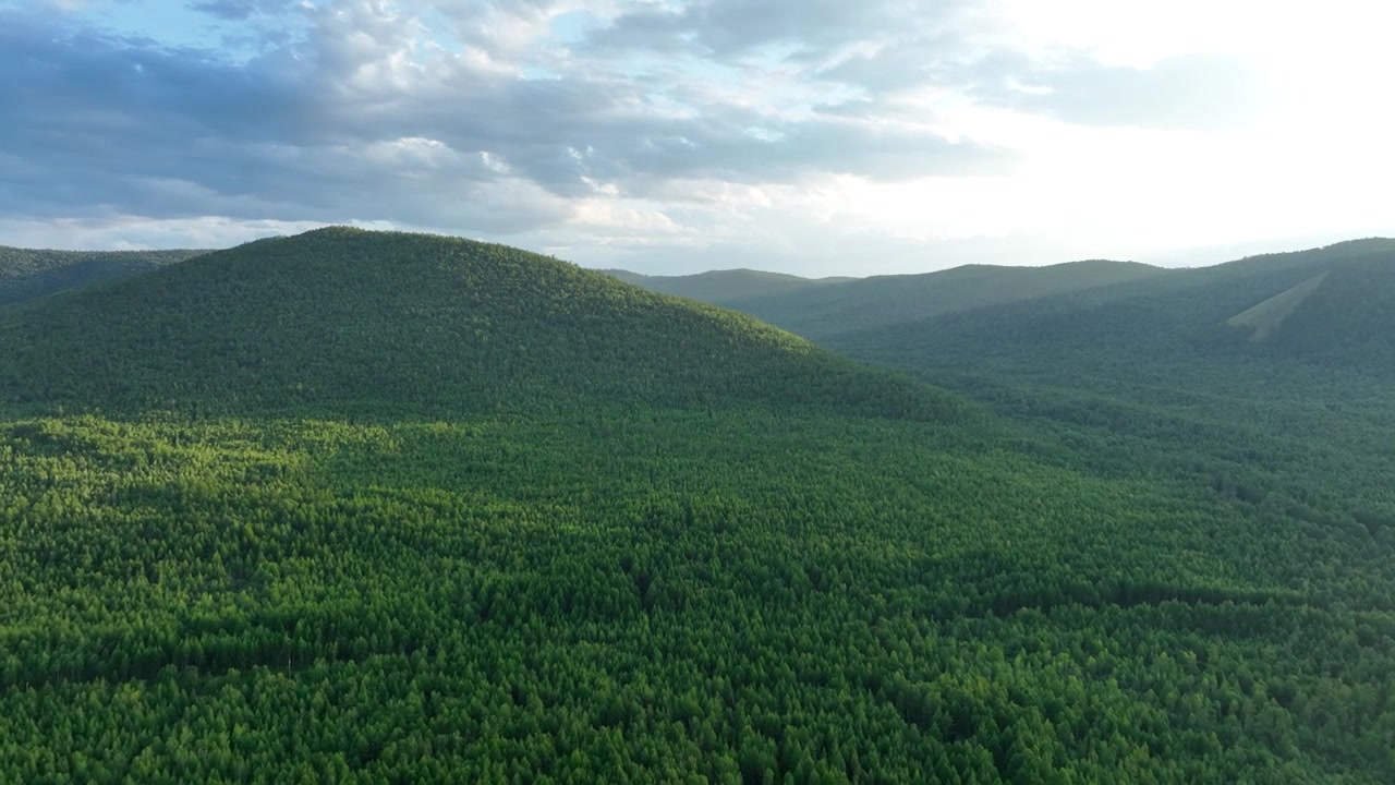 航拍大兴安岭绿色山岭苍茫林海视频素材