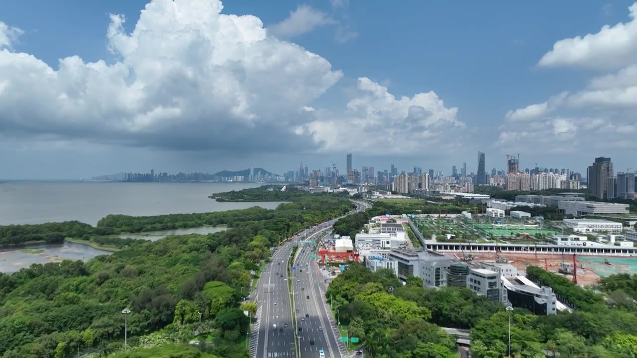 【原创】深圳滨海大道深圳湾红树林航拍素材视频素材