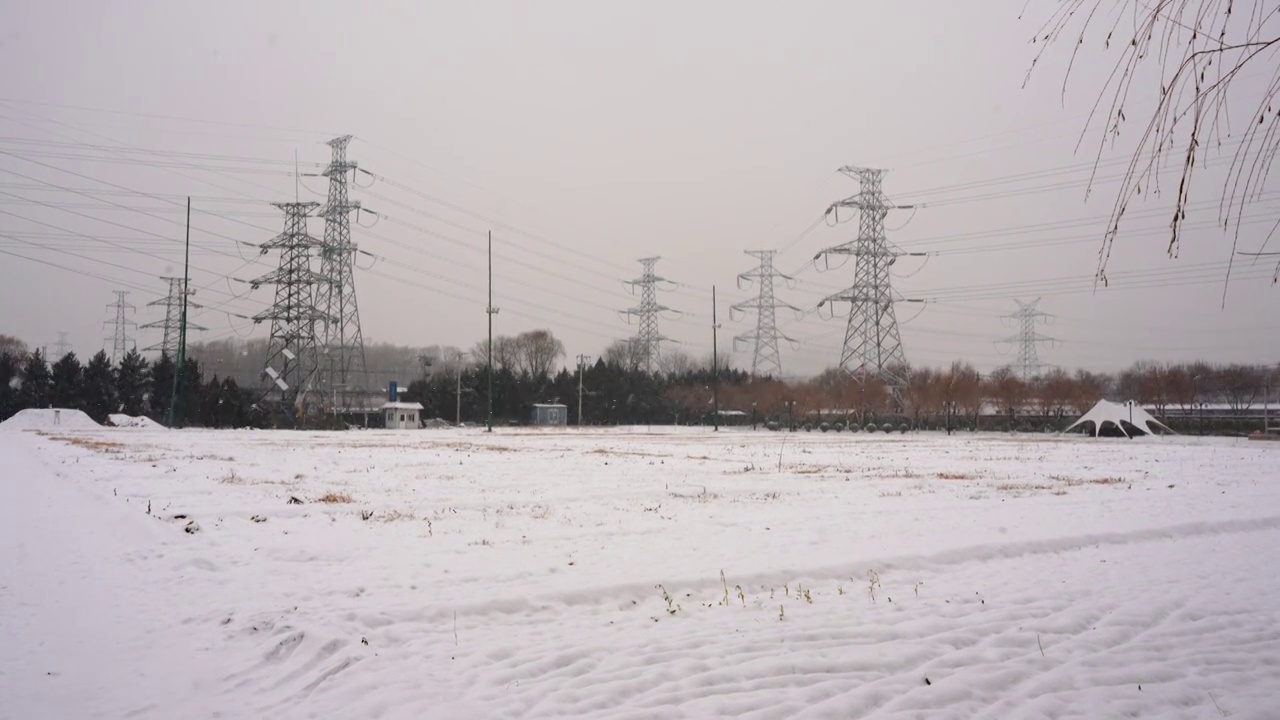 冬季下雪寒冷气候菜地农场视频素材