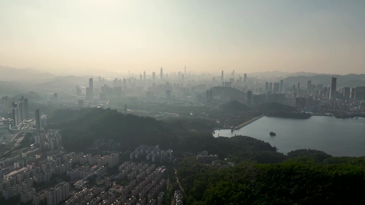 航拍深圳城市绿化晨光视频下载