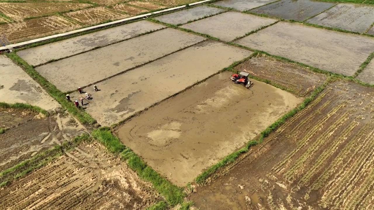 拖拉机耕田视频下载