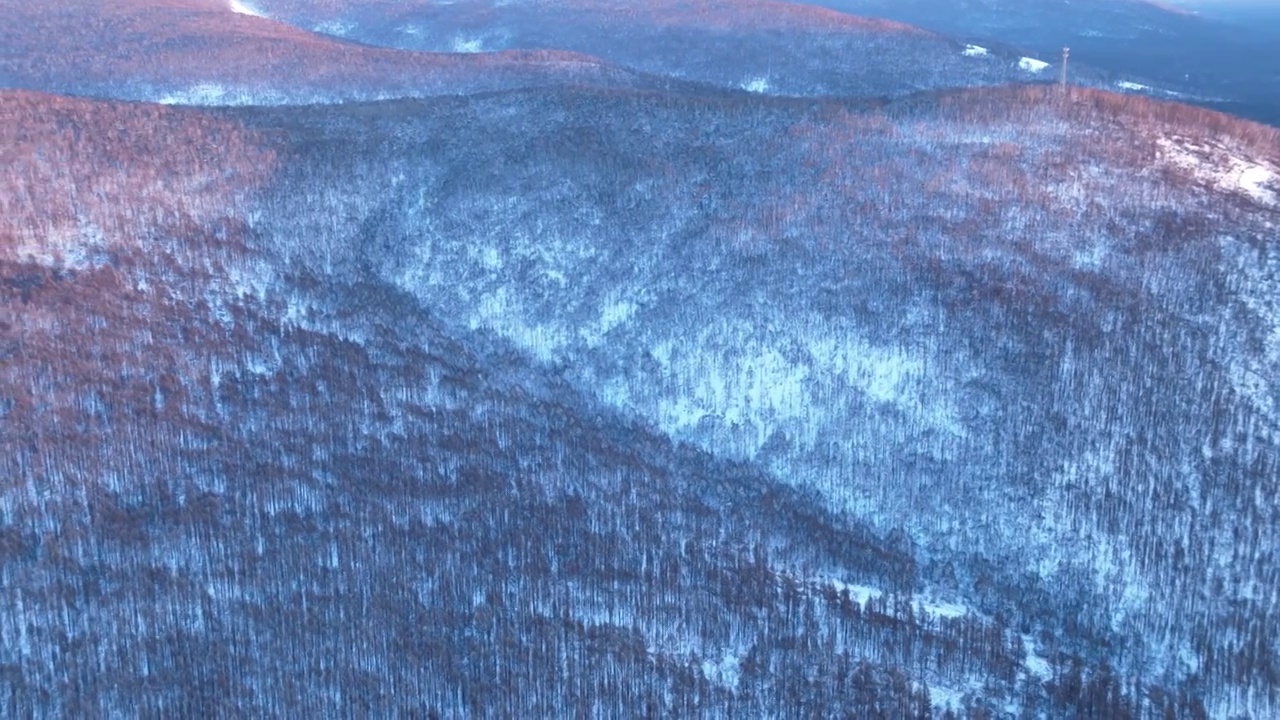 航拍大兴安岭林海雪原暮色视频素材