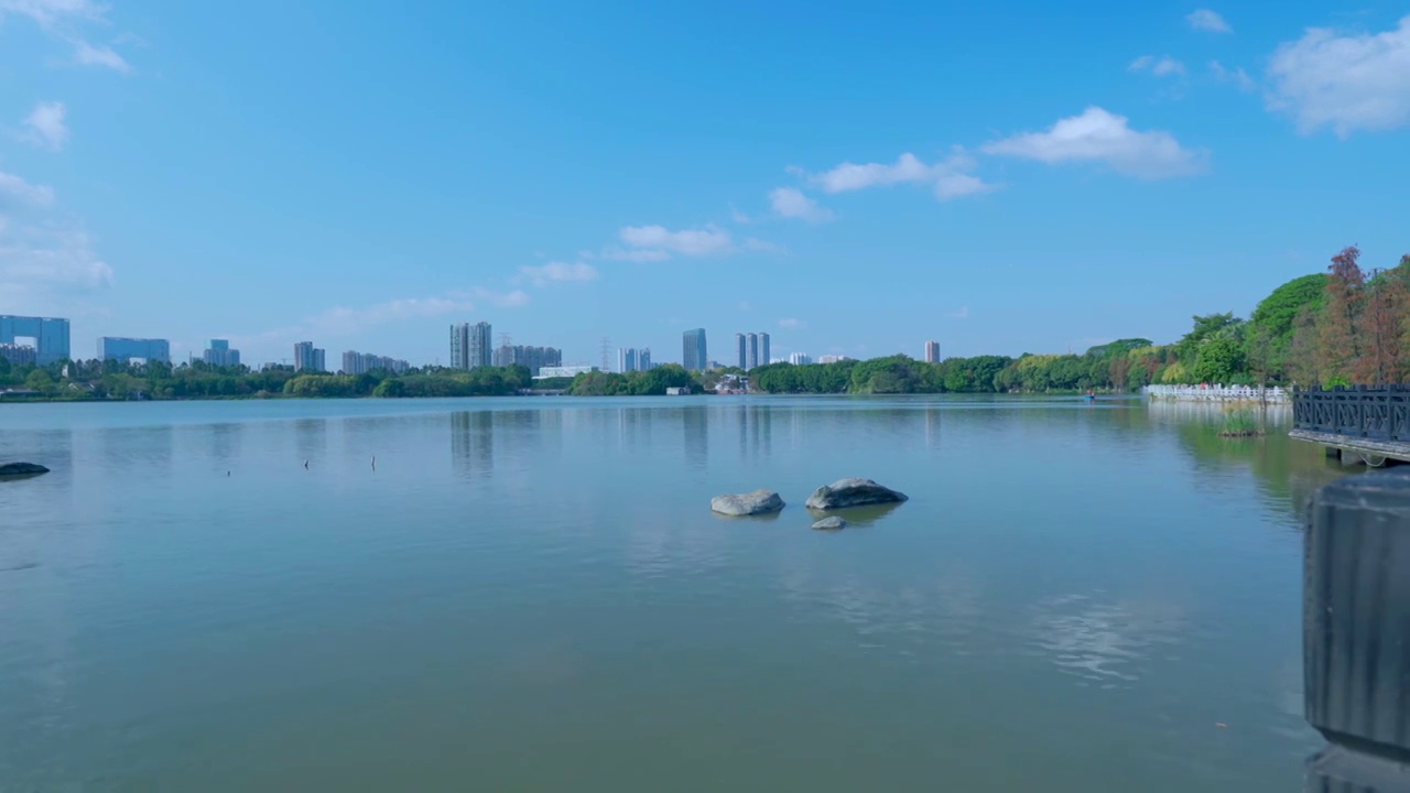 广州海珠湖公湖泊树林与城市高楼建筑景观视频素材