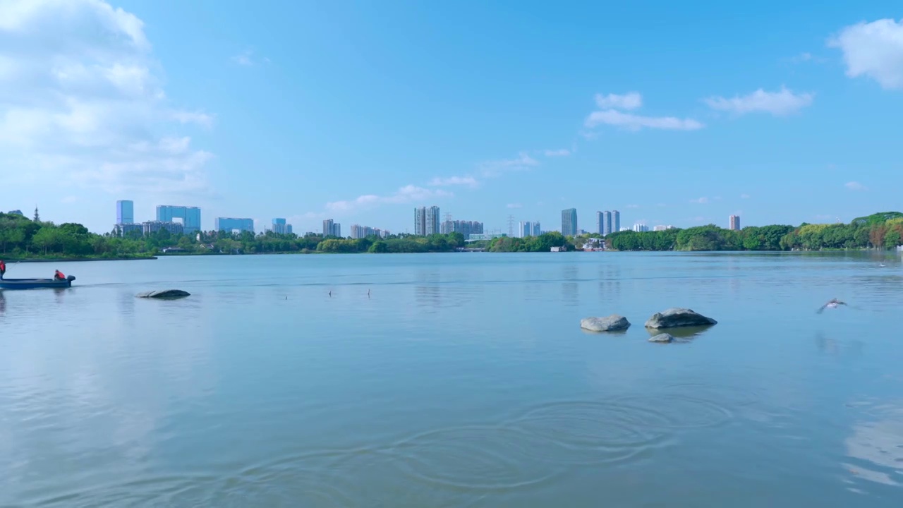 广州海珠湖公湖泊树林与城市高楼建筑景观视频素材